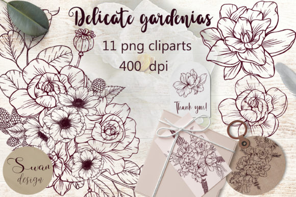 Elegant Gardenia Flowers for Creative Design Projects