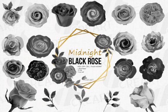 Midnight Black Roses Watercolour Clipart for Design